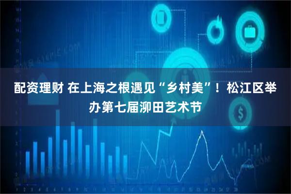 配资理财 在上海之根遇见“乡村美”！松江区举办第七届泖田艺术节