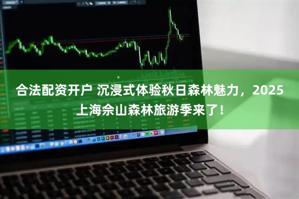 合法配资开户 沉浸式体验秋日森林魅力，2025上海佘山森林旅游季来了！