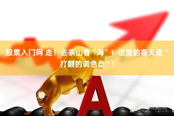股票入门网 走！去茶山看“海”！这里的春天是“打翻的调色盘”！